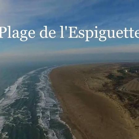 Grand Studio Au Grau-Du-Roi Proche Seaquarium Et Plage Ле-Гро-дю-Руа Экстерьер фото