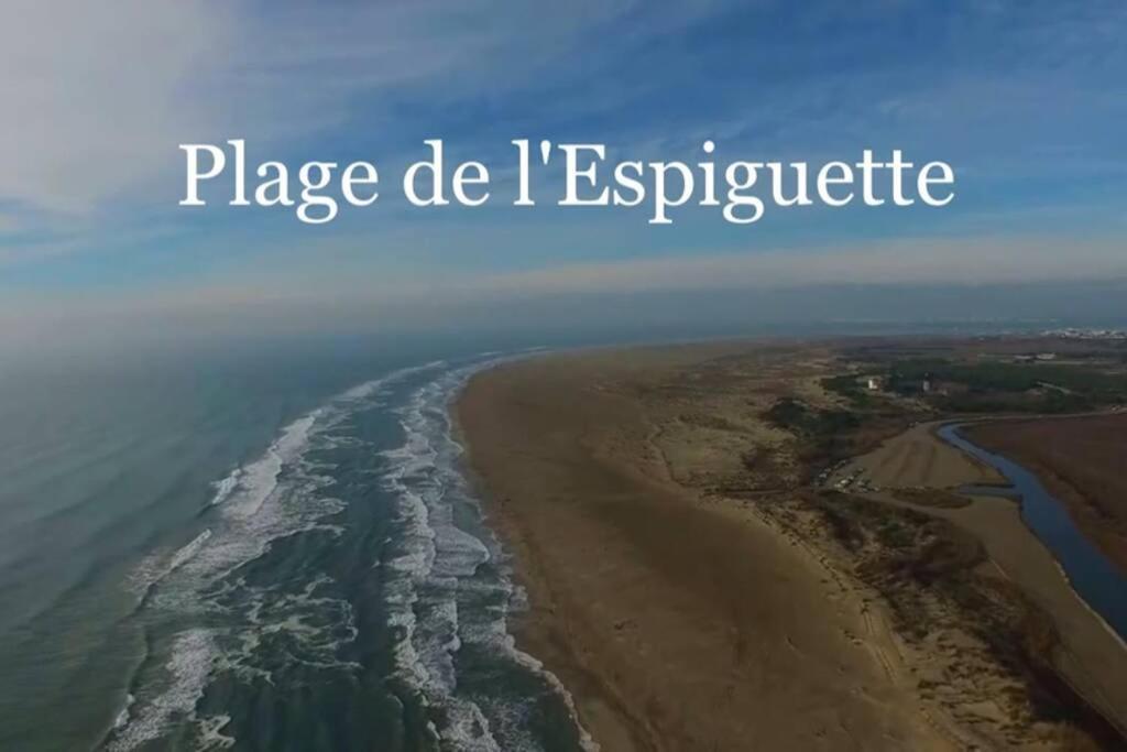 Grand Studio Au Grau-Du-Roi Proche Seaquarium Et Plage Ле-Гро-дю-Руа Экстерьер фото
